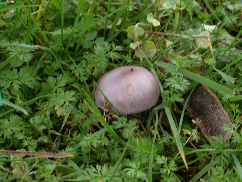 Nel parco sotto casa